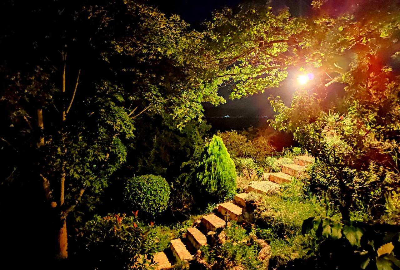 Villa Forest Paradise โอครีด ภายนอก รูปภาพ